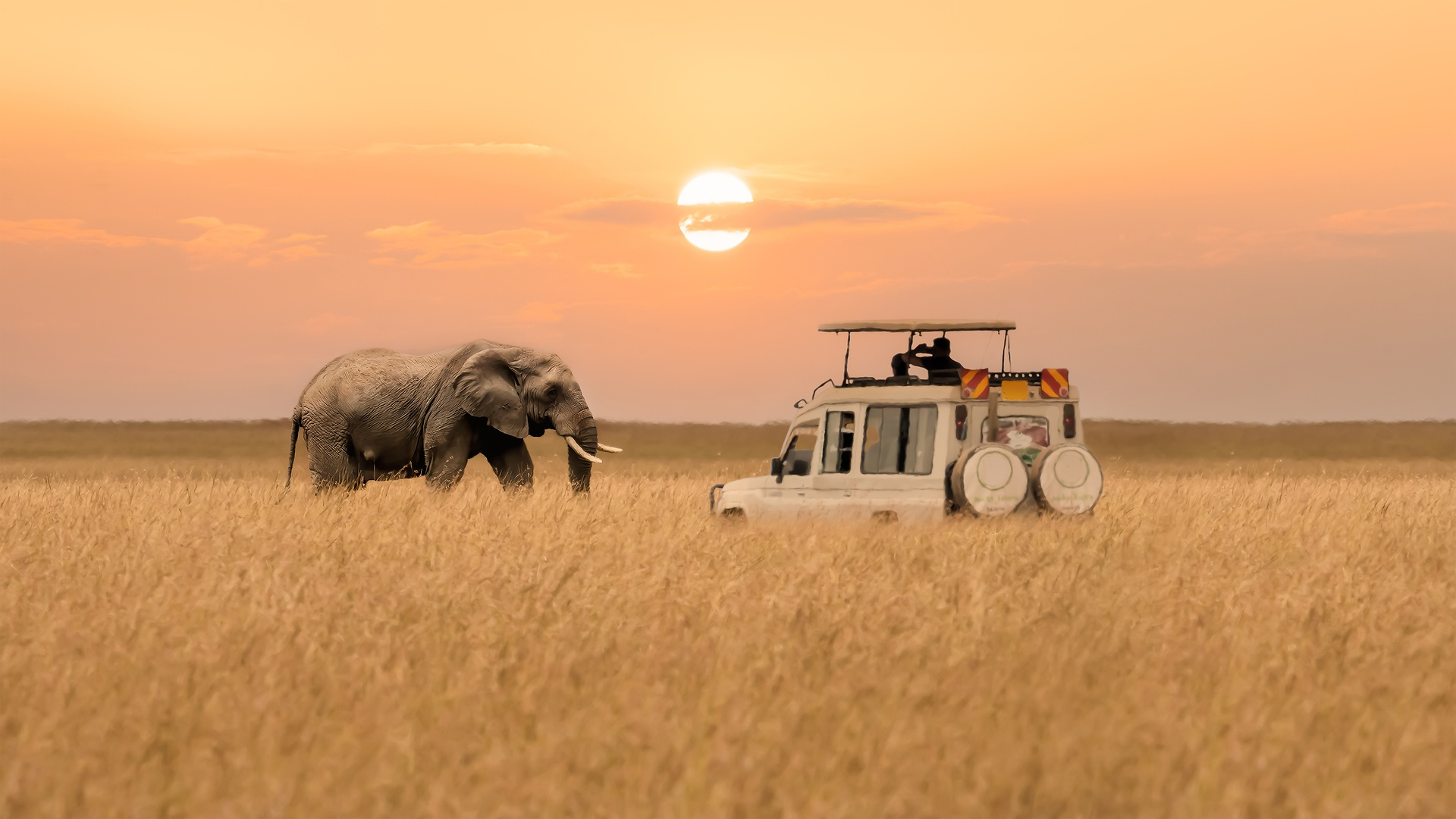 Luxury Kenya Safari with The Mora Zanzibar