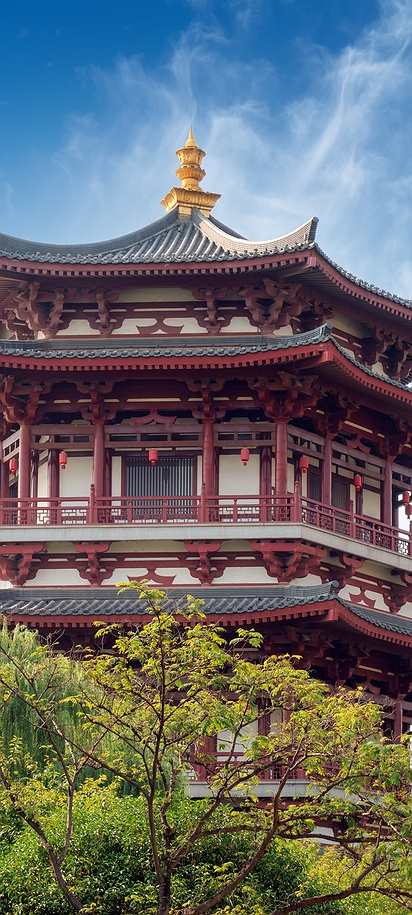 Tang Paradise in China