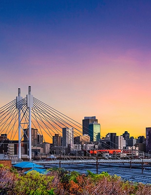 Johannesburg and Pretoria purple in South Africa