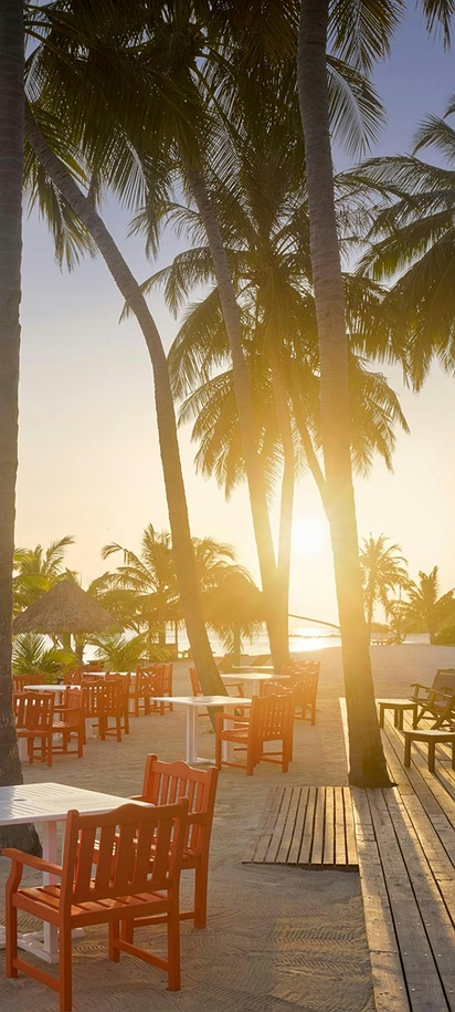 Escape to Paradise: Sri Lanka with Maldives image 8