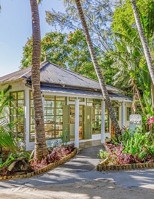 tranquil scene at The Ravenala Attitude hotel, a resort located in Turtle Bay
