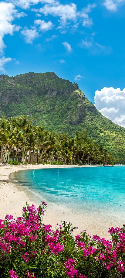 scenic beach in Mauritius