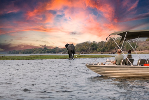 Tsiribihina River Safari