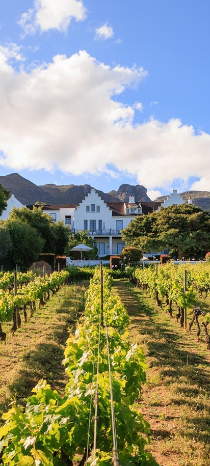 The Cellars-Hohenort as Cape Town's Vineyard