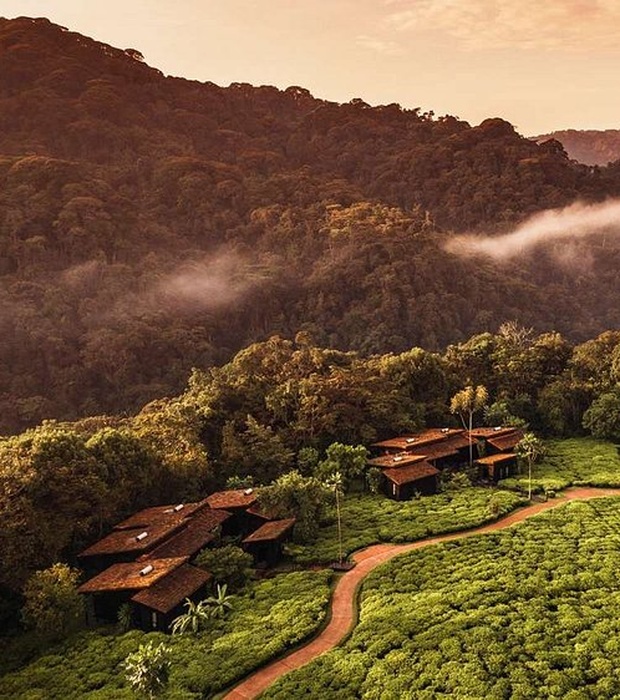 One&Only Nyungwe house aerial view