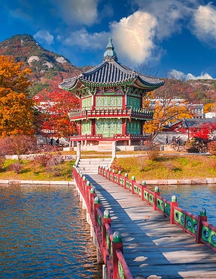 Busan city view