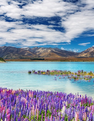 Lake Tekapo in New Zealand