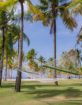 an aerial view of the Bohol Beach Club resort