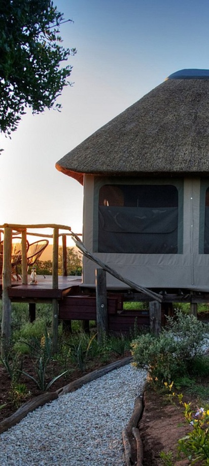 Bellevue Forest Reserve in South Africa's Eastern Cape