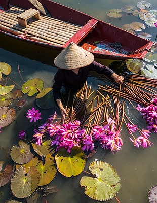 scenic view from Vietnam