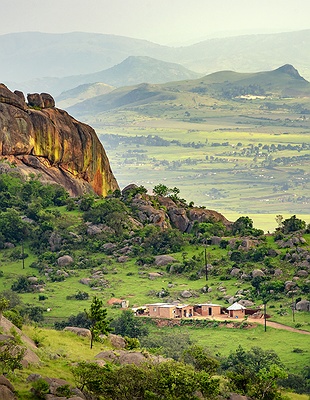 Johannesburg and Pretoria purple in South Africa