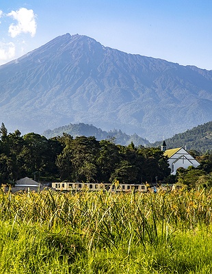 the Fig Tree Arch in Arusha National Park, Tanzania
