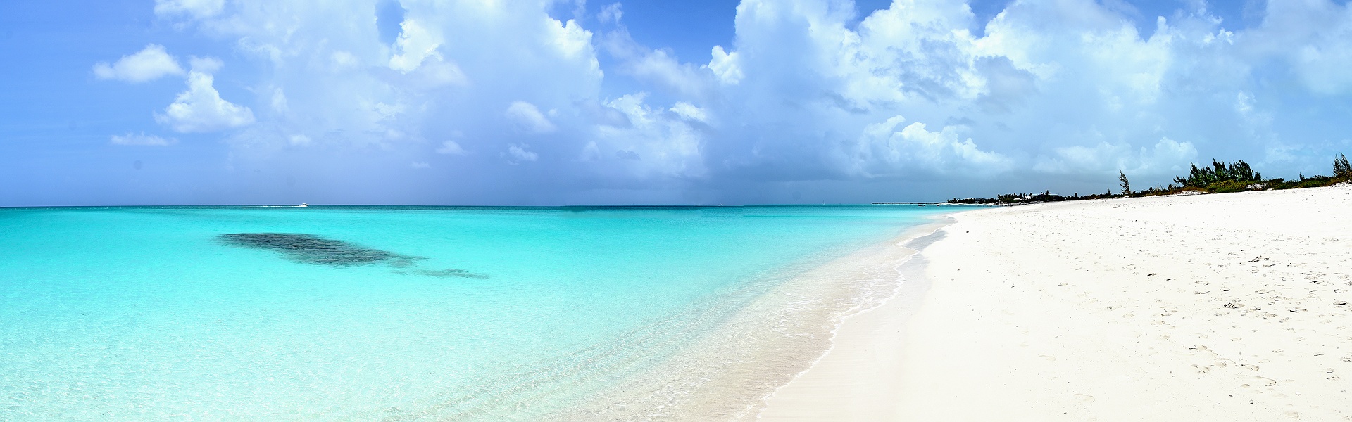 beach in the Turks and Caicos Islands