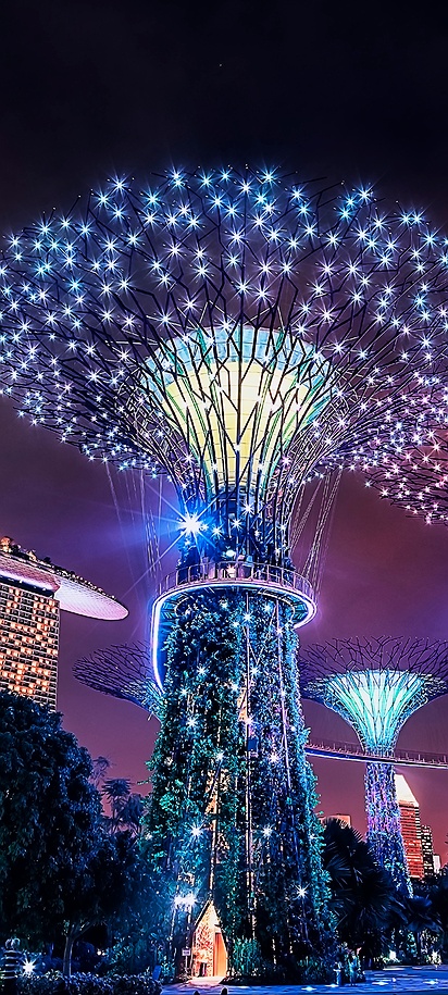 Supertree grove garden