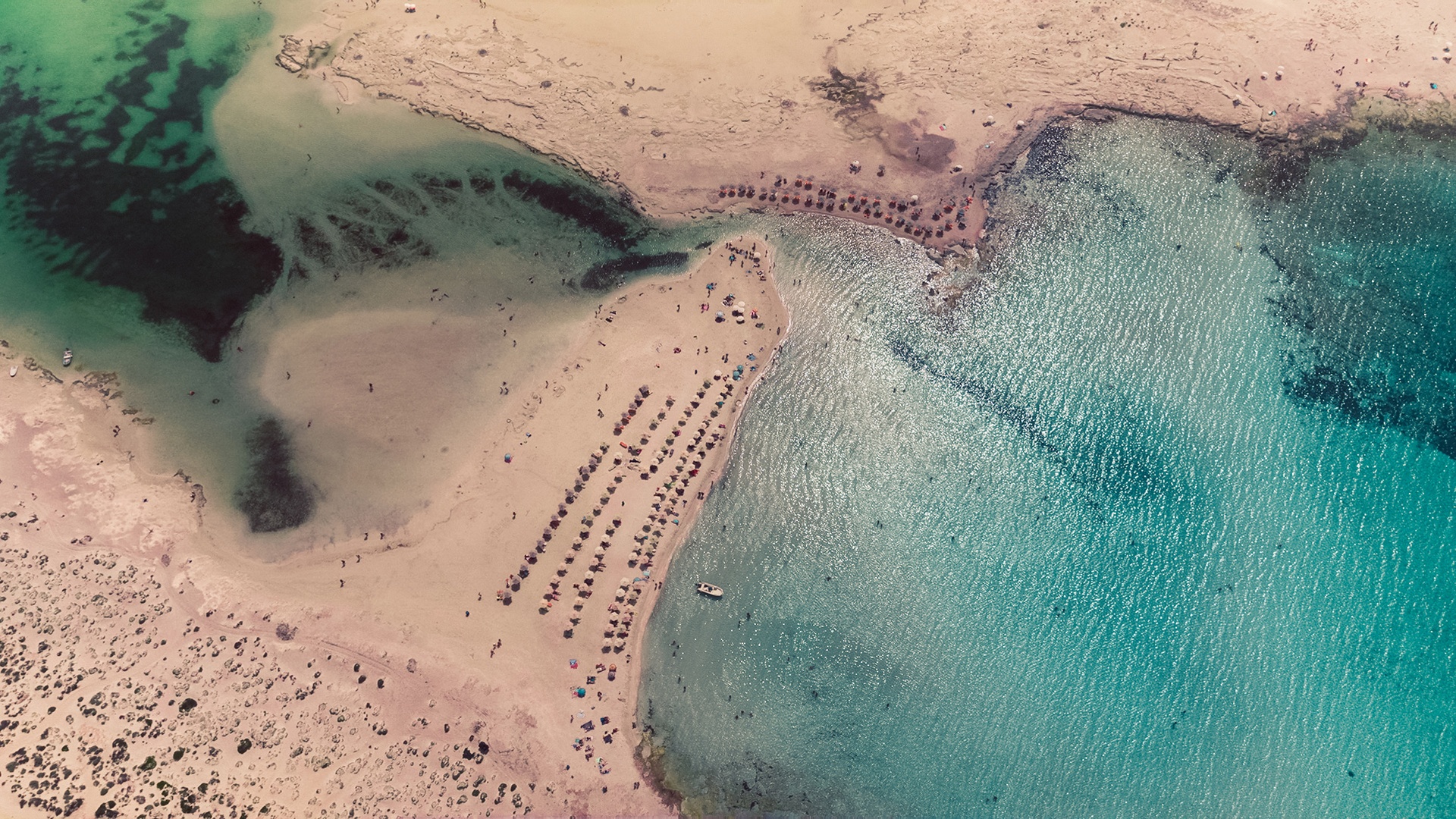 aerial view of a beach