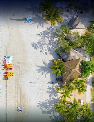 high-angle view of couples swept away