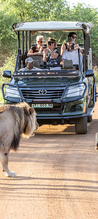 Pilanesberg safari view