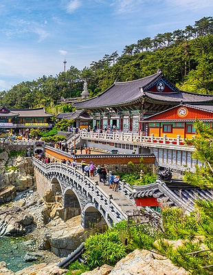 Busan city view