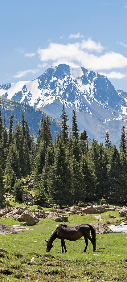 the Tian Shan (or Tien Shan) mountains, a large range in Central Asia.