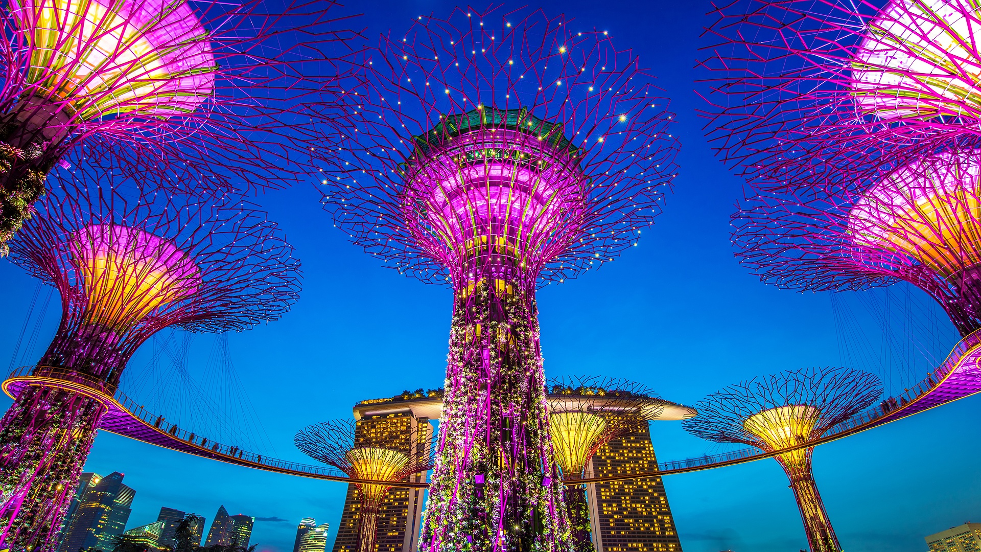 Supertree Grove at Garden in Singapore