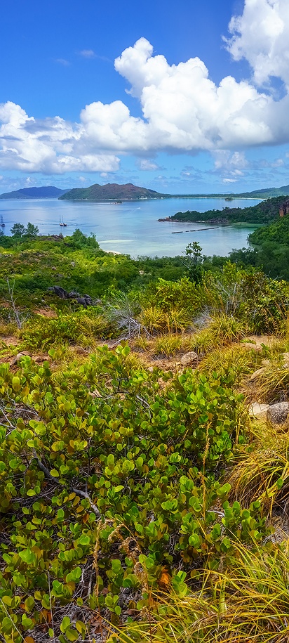 hiking trail on Curieuse Island in the Seychelles