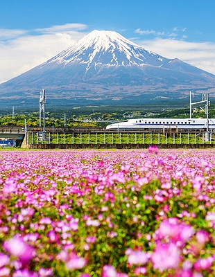 Mount Fuji in Japan
