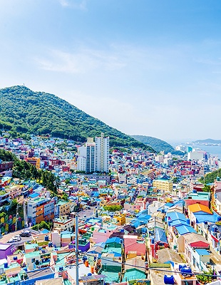 Busan city view