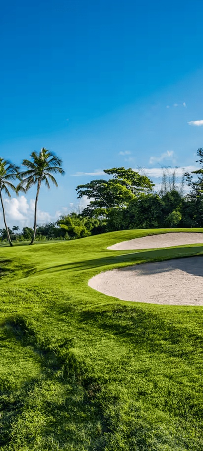 the Wyndham Grand Rio Mar Rainforest Beach and Golf Resort in Puerto Rico