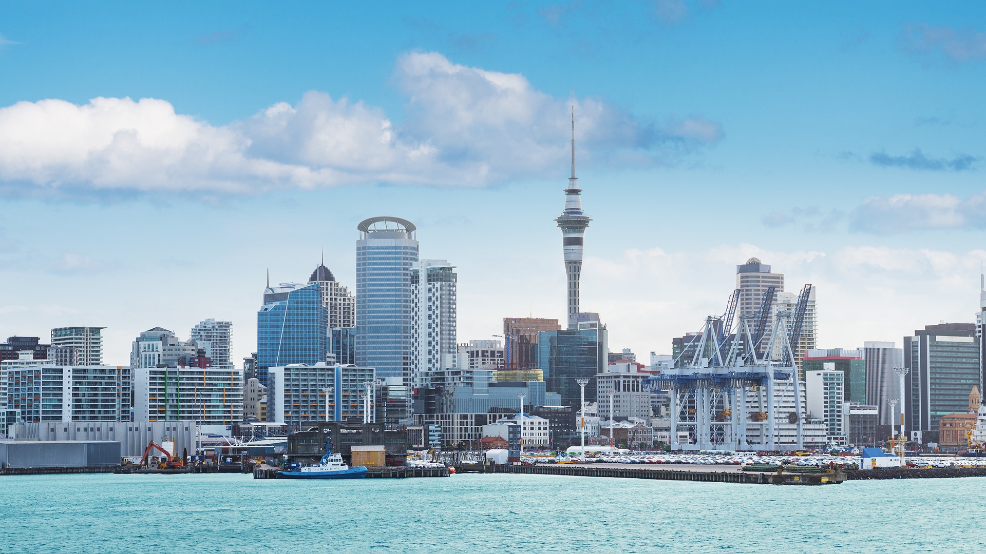 iconic skyline of Auckland, New Zealand