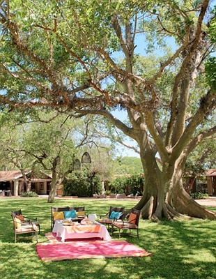 Johannesburg and Pretoria purple in South Africa