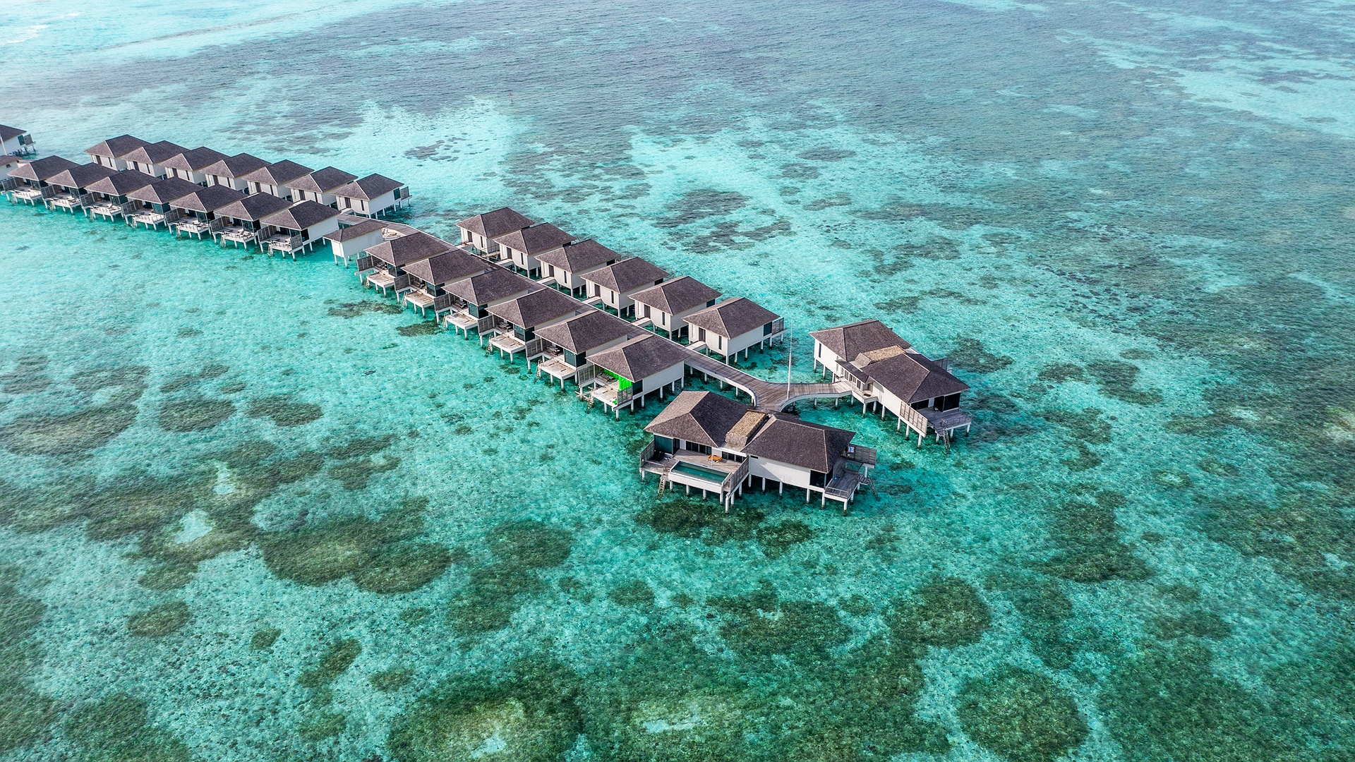 Le Meridien Maldives - Overwater villas