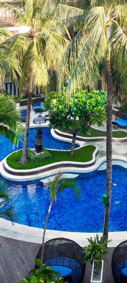 an aerial view of the large outdoor free-form swimming pool