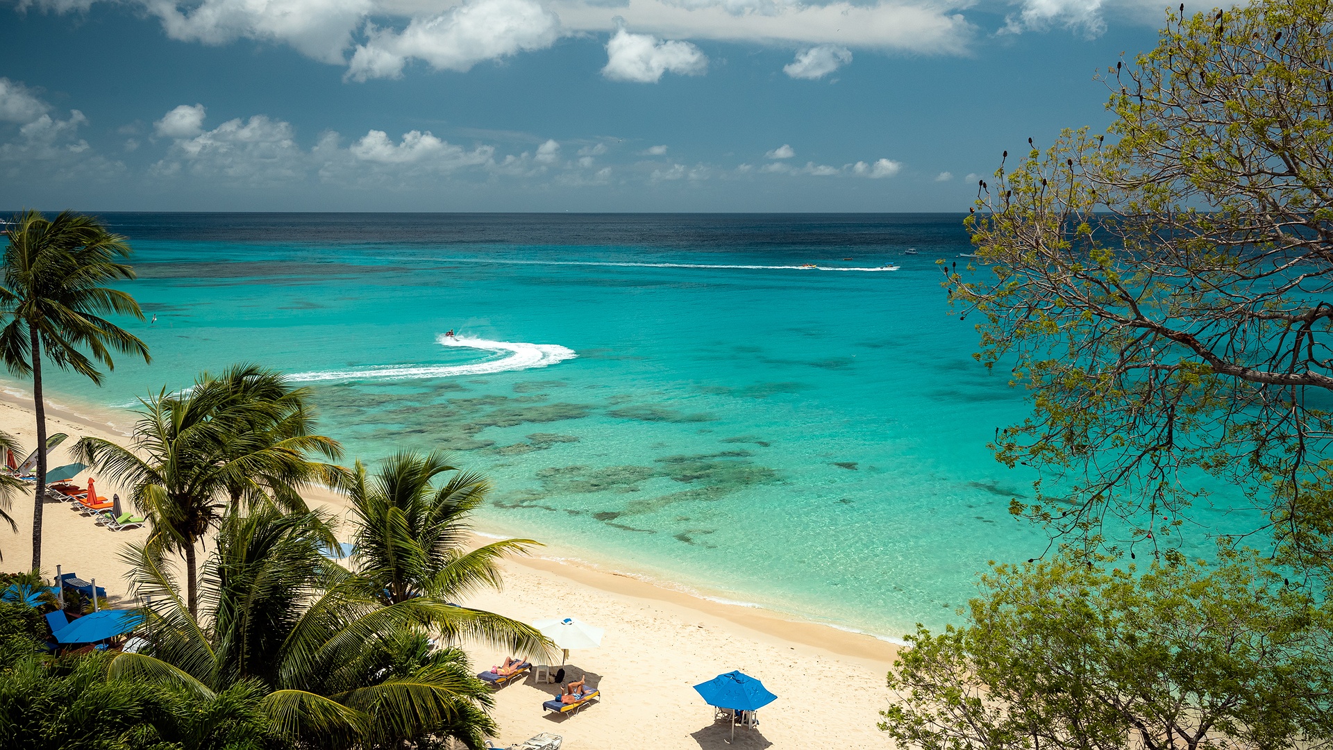 Paynes Bay Beach, Barbados