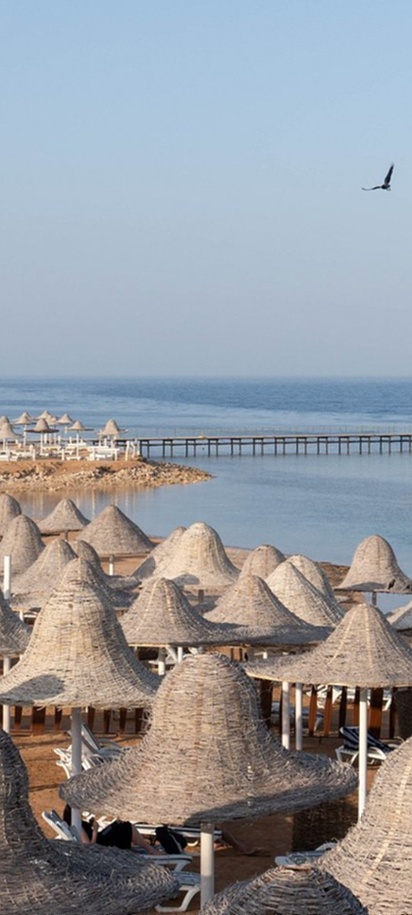 Parrotel Beach Resort full view