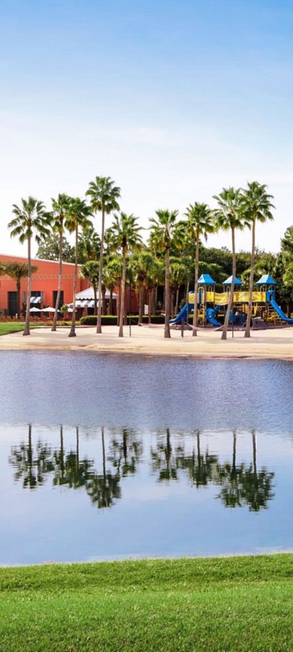 Walt Disney World Swan view