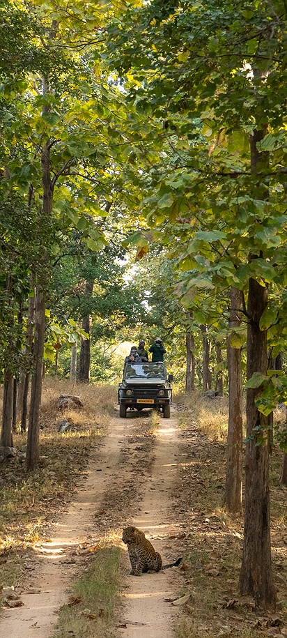 Jeep safari in India