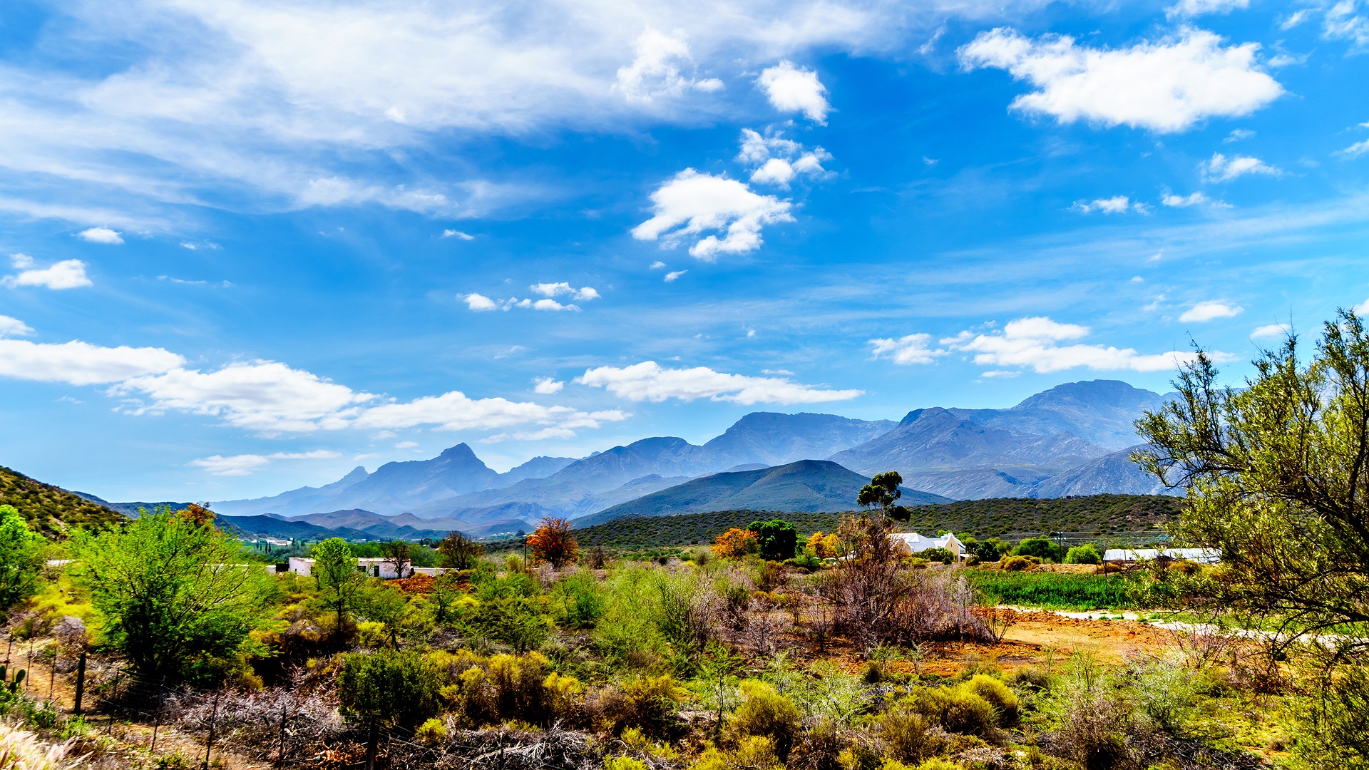 scenic view of the Little Karoo in South Africa