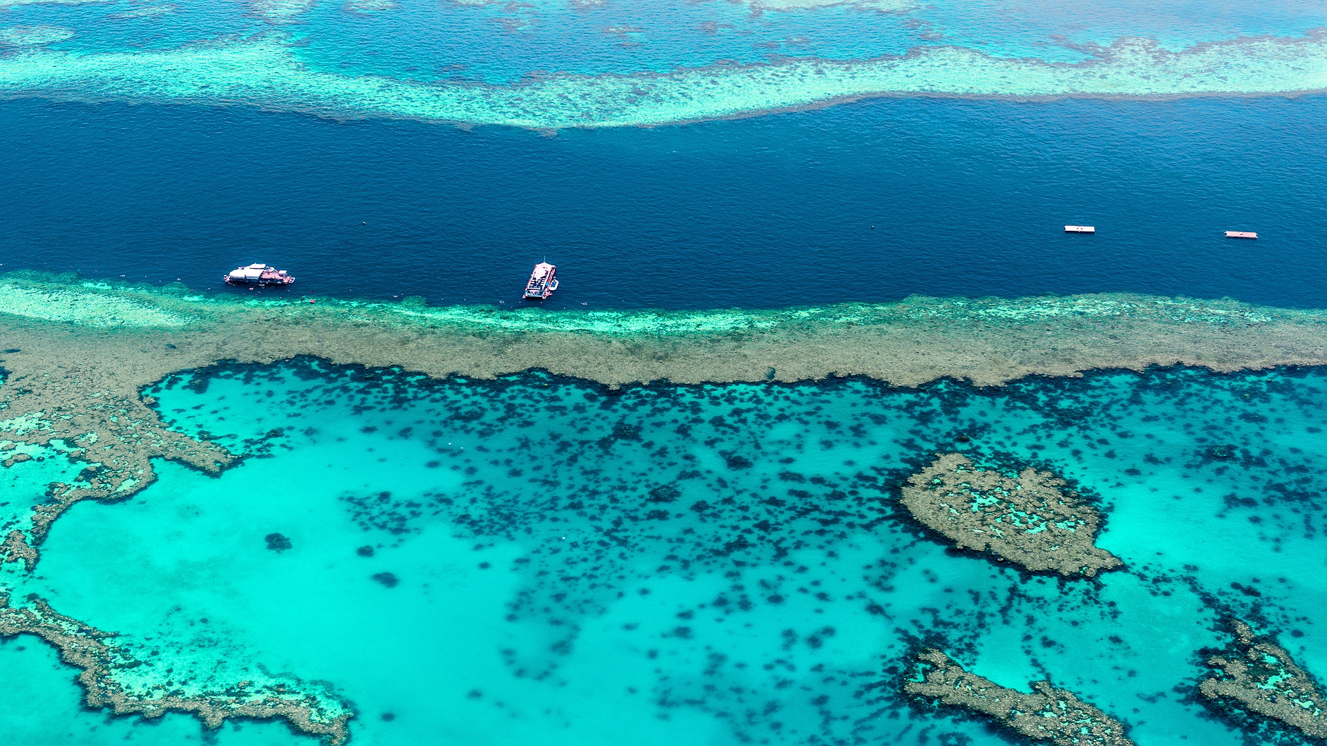 Great Barrier Reef in the Coral Sea, Australia