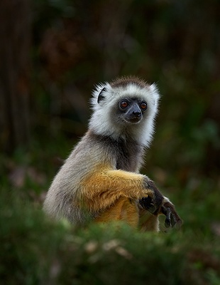 Rova of Antananarivo