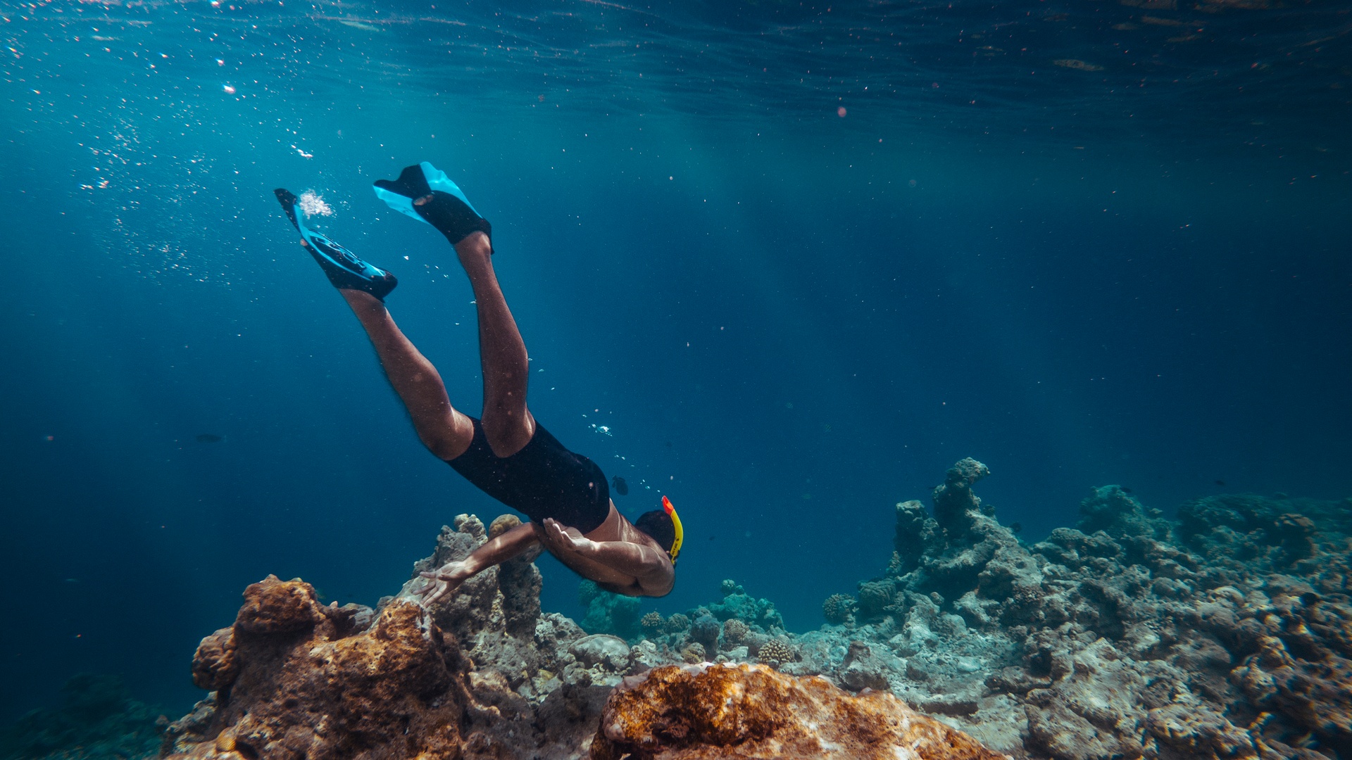 snorkeling in the ocean
