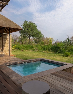 Johannesburg and Pretoria purple in South Africa