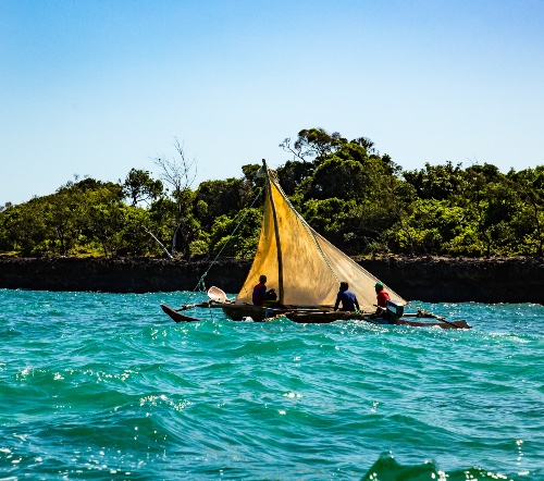 Traditional Pirogue Ride 