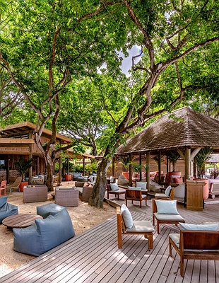 tranquil scene at The Ravenala Attitude hotel, a resort located in Turtle Bay