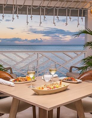 aerial view of the Royalton CHIC Antigua