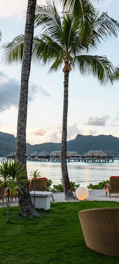 Beachfront dining with view