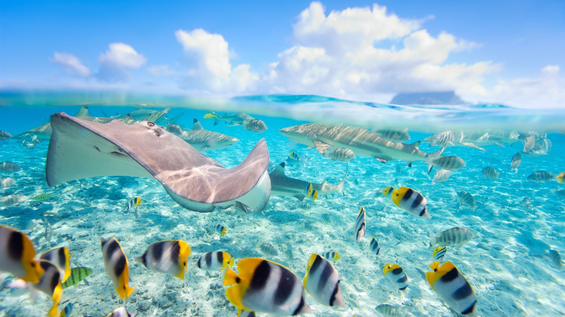 waters of Bora Bora, French Polynesia