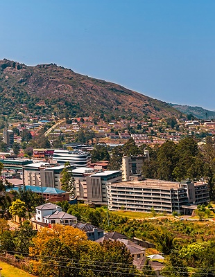 Johannesburg and Pretoria purple in South Africa