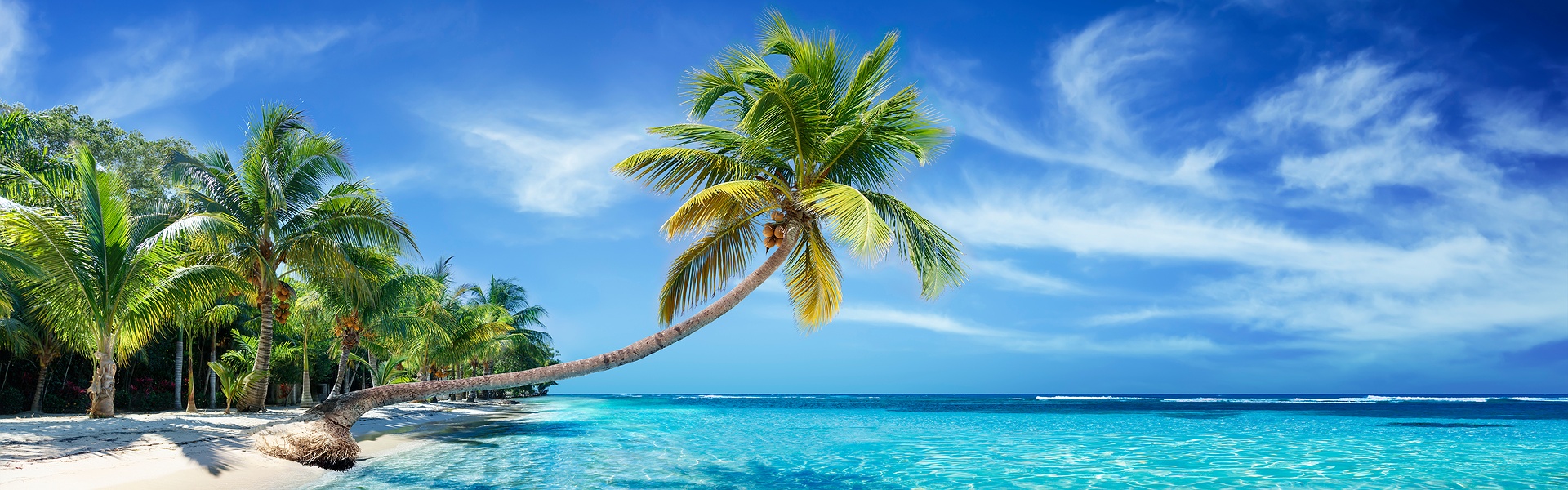 Maldives beach scenic view