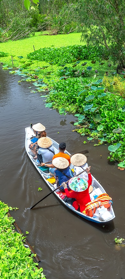 canals of a mangrove forest in An Giang