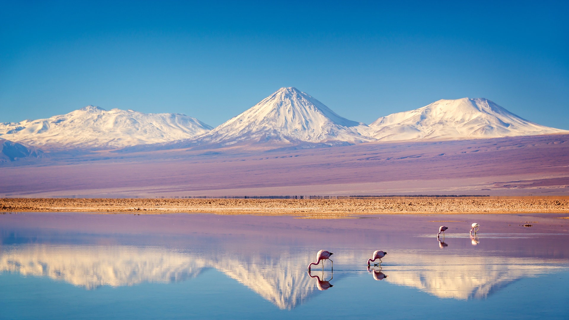 Salar de Atacama in the Atacama Desert, Chile